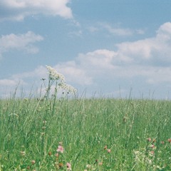 The Colours Of My Daydreams - 24.02.21, 09.40