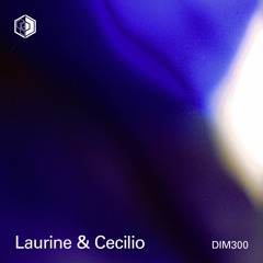DIM300 - Laurine & Cecilio