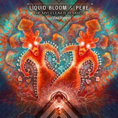 Liquid Bloom & PERE - The Mycelium is Listening (CARS_on_MARS Remix)