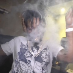 Zooted Up