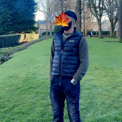 Rihanna - disturbia (organ bassline remix)