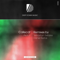 PREVIEW: Callecat - Axolotl (Sebastien Sellares Remix) [Deep Down Music]