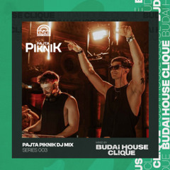 Back To Basics presents Pajta Piknik Dj Mix Series 003 mixed by Budai House Clique