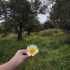 Tiene la vida un secreto (Himno 265)