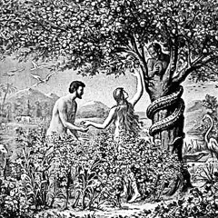 Adam+Eve