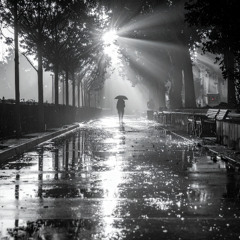 Shadows in the Rain