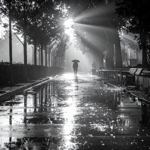 Shadows in the Rain