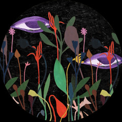 zoo