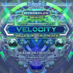Loose Connection - Biche  [Weirdly Wired Remix] (Velocity Festival New Comer Contest)