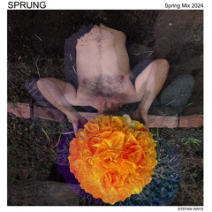 Stefan Ways - SPRUNG (Spring Mix 2024)