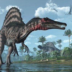 suy tình spino