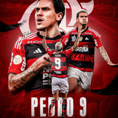 TROPA DO PEDRO 2026 (( DJ RD SAN ))