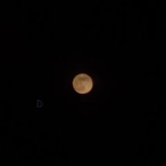 Drunk Text by Henry Moodie Ukulele Cover.mp3