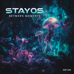 Stayos - Between Moments (Original Mix)