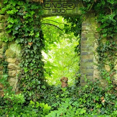 Soleil Dans Ta Mère