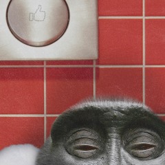 Music Discovery XO Auditions