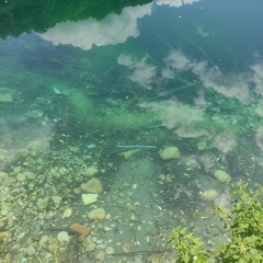 mattproxy natural selection flip