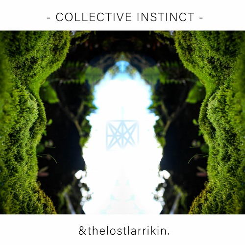 Collective Instinct w/The Lost Larrikin