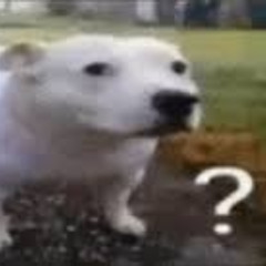 Big Spuścik x PryszczNaPiździe x Kutas Kozła- meet the grandma