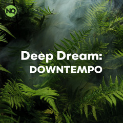 Deep Dream:  DOWNTEMPO