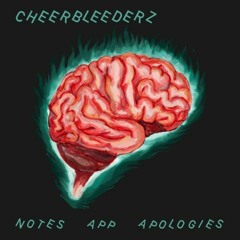 notes app apologies