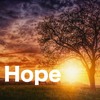 Video herunterladen: Hope