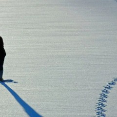 SAMAD - Shadows in the snow