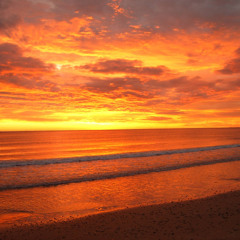 i hope to find you once again