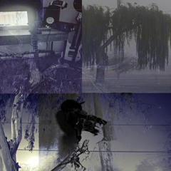 still foggy.