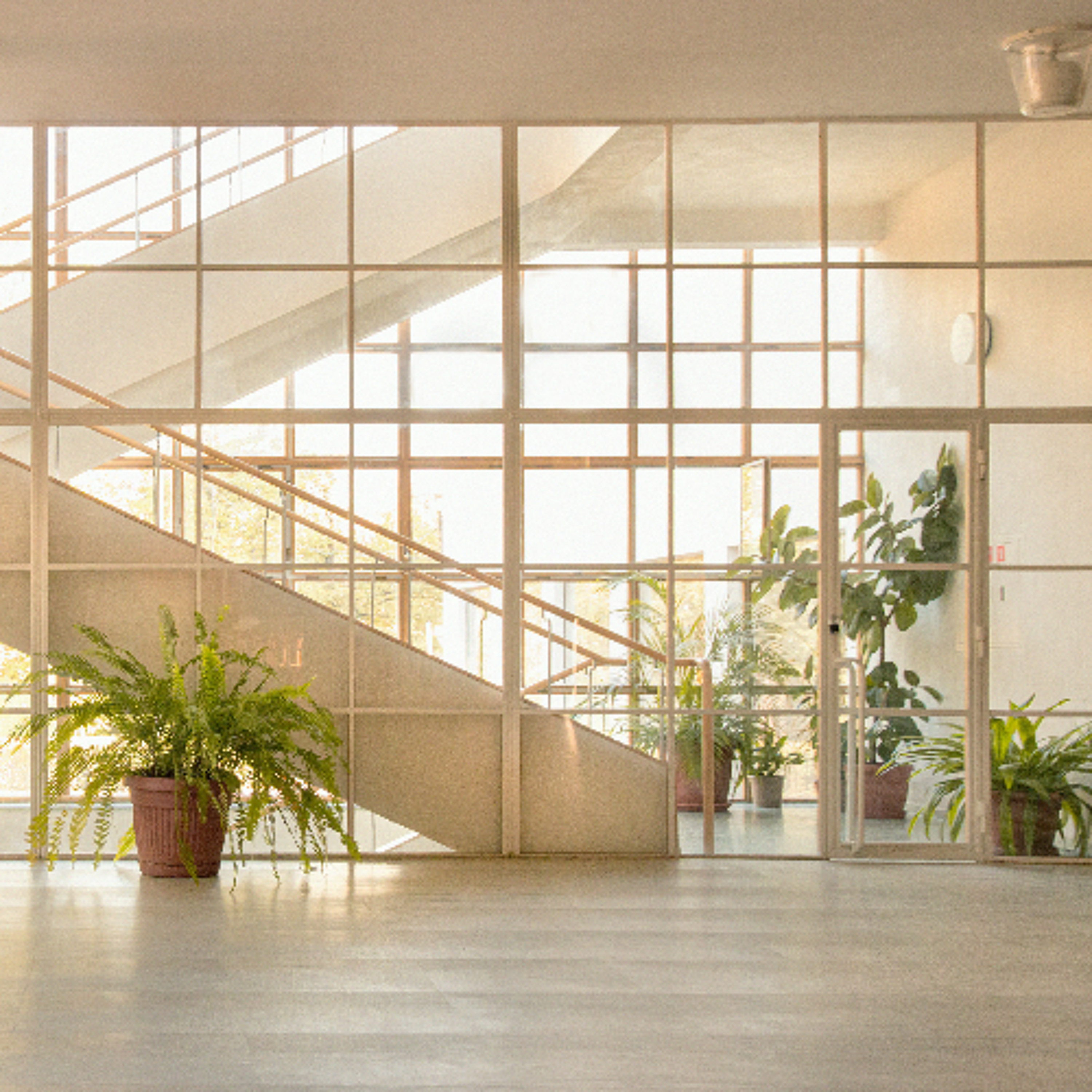 Bioethics & Race with Yolonda Wilson