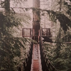 Vinyl Sanctuary Sessions Volume 12 - An Ambient Reflection
