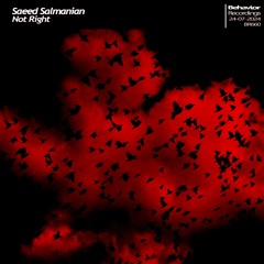 Saeed Salmanian - Not Right (Out Now)