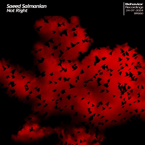 Saeed Salmanian - Not Right (Out Now)
