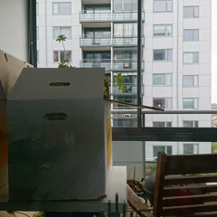 Where are the serious people ? New knowledge from the Highest.