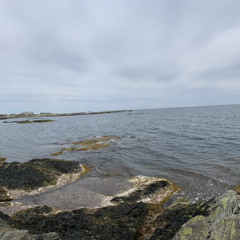 Insomnia (2:34am Mix) - Demo