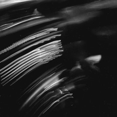 oneofthemones!{prodlossy}