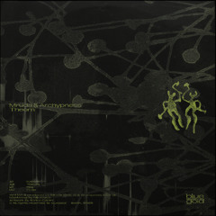 𝒑𝒓𝒆𝒎𝒊𝒆𝒓𝒆: Mruda - Theom [BG001]