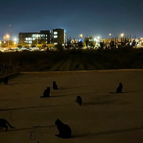 Colapso (Safe Nora x Yaikro x Ohin.prod)