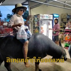 สิเท(เหล้า)ให้บอกแหน่