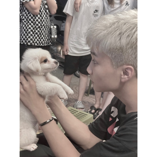 NST-Đừng Lo Nhé Có Anh Đây