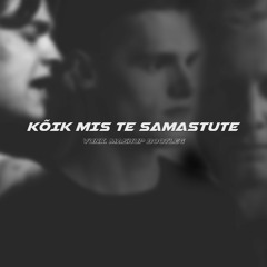 Pur Mudd x Ines x Säm - Kõik mis te Samastute (vunx. Mashup Bootleg)