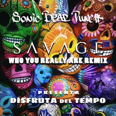 Savage - Who you really are (Sonic Bear Punch: Disfruta del tempo remix version)