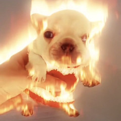 team - brockhampton (cover by vynne)