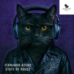 State of House (Radio Edit)