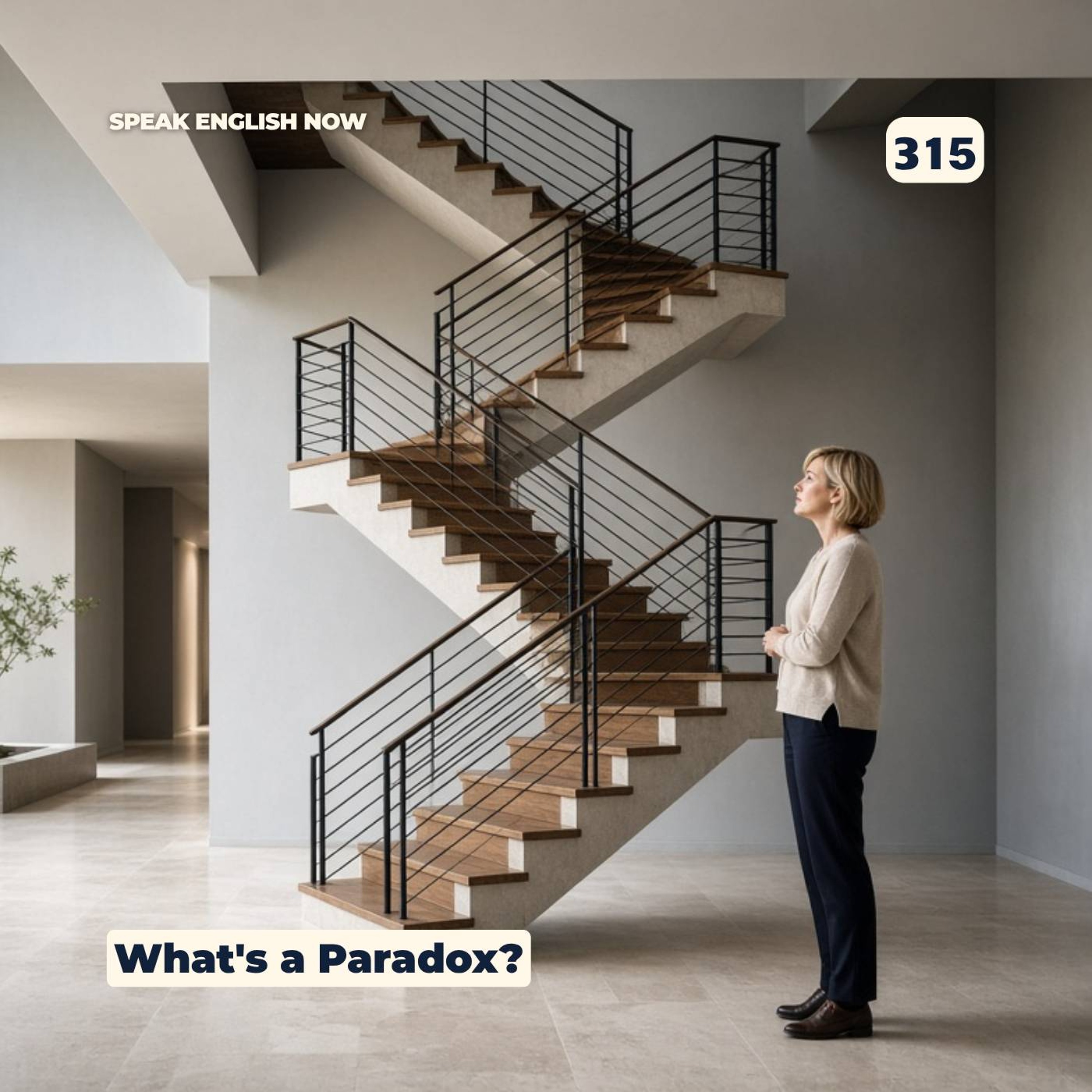 #315 What's a Paradox? episode artwork