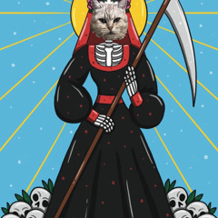 Offer Nissim Set\\2- Shahaf Post