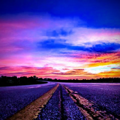 The Road Less Traveled