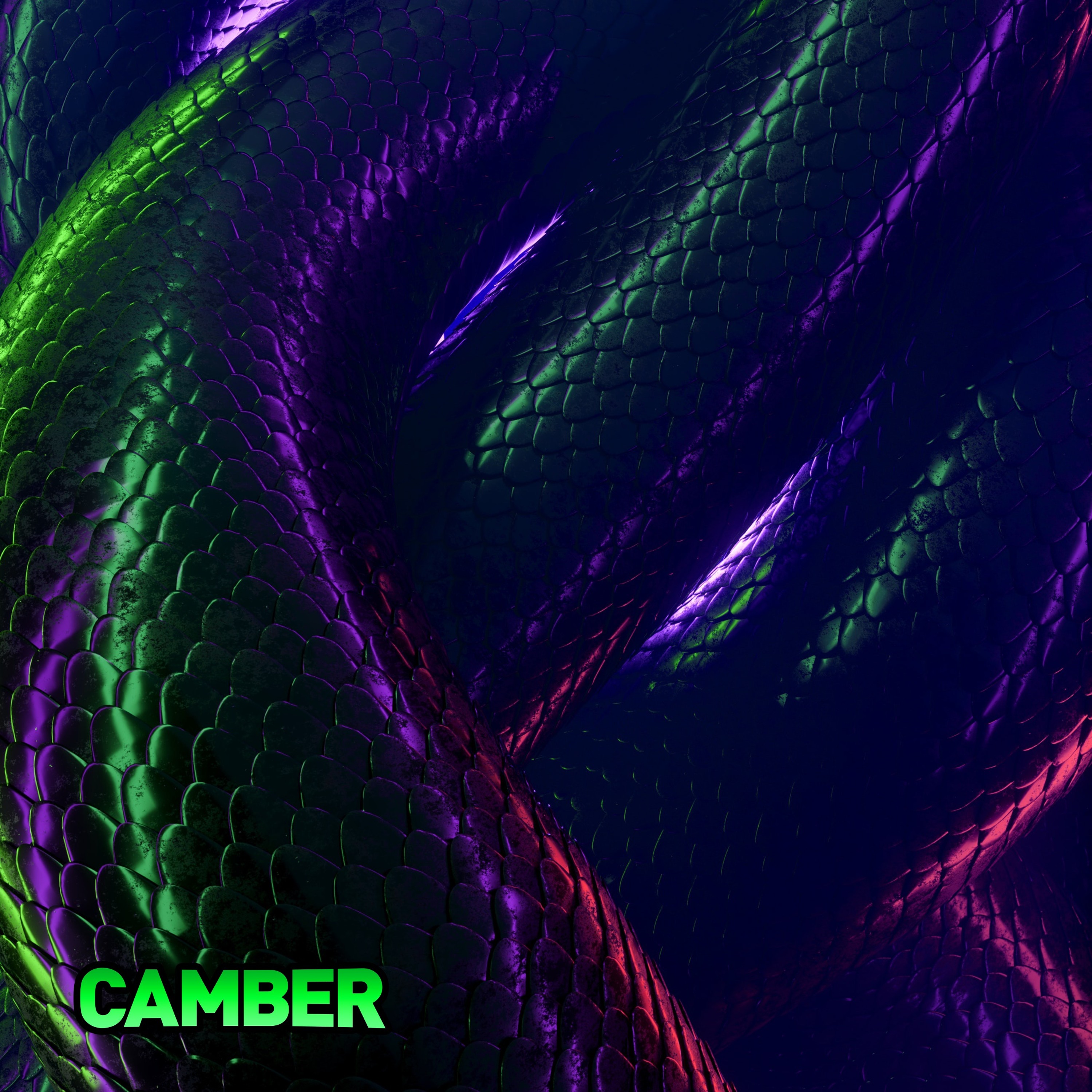 CAMBER