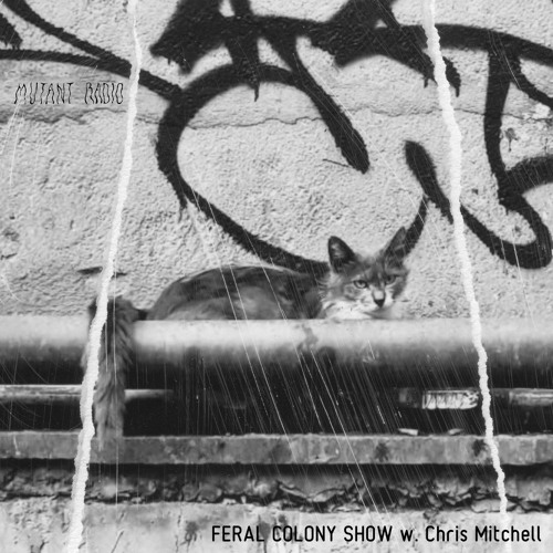 FERAL COLONY SHOW w. Chris Mitchell [12.12.2022]