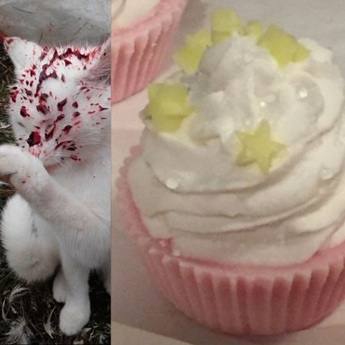 all my wishes✩♬ ₊˚.⋆☾⋆⁺₊✧